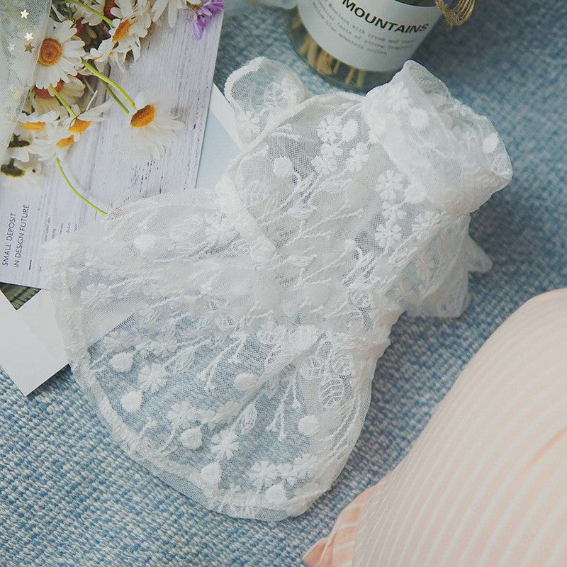 ebd2b0072507425b2c60ec3fc45765b8