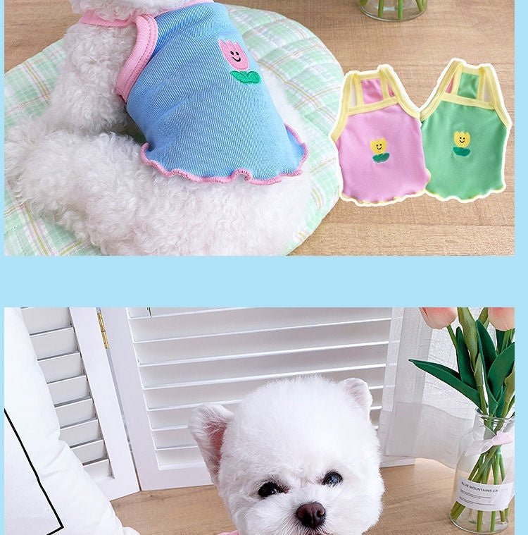 8045261b8b77c1375bbf14ccebc4a95